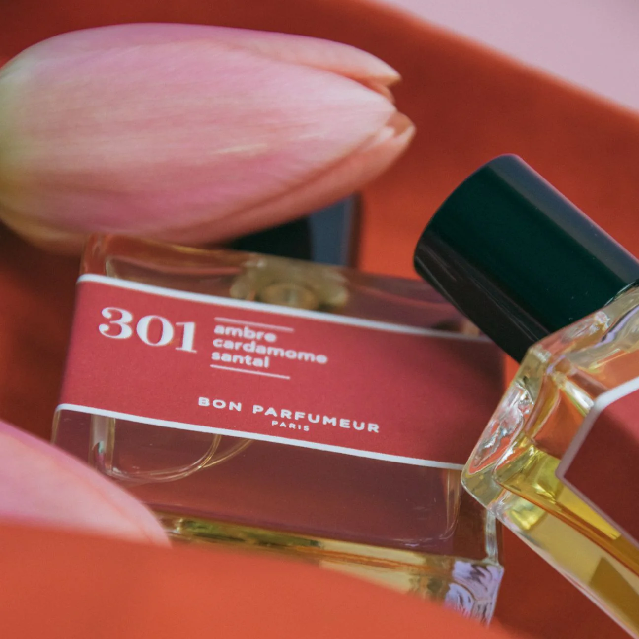 301: Sandalwood, Amber & Cardamom - Image 4