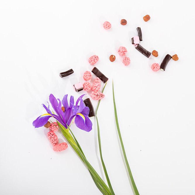 501: Praline, Licorice & Patchouli - Image 4