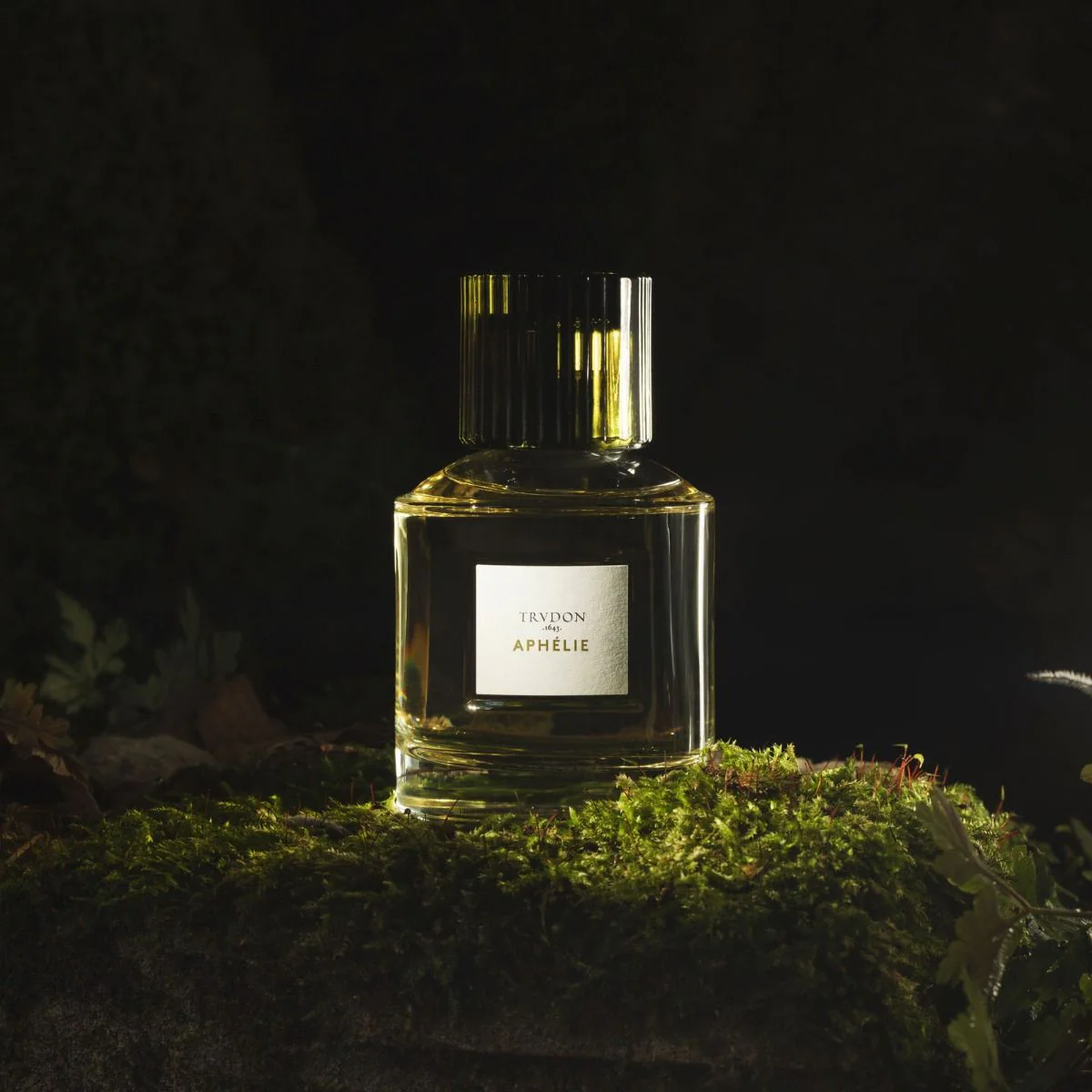Aphélie - Image 3