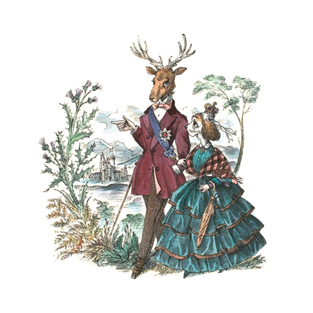 Balmoral - Image 2