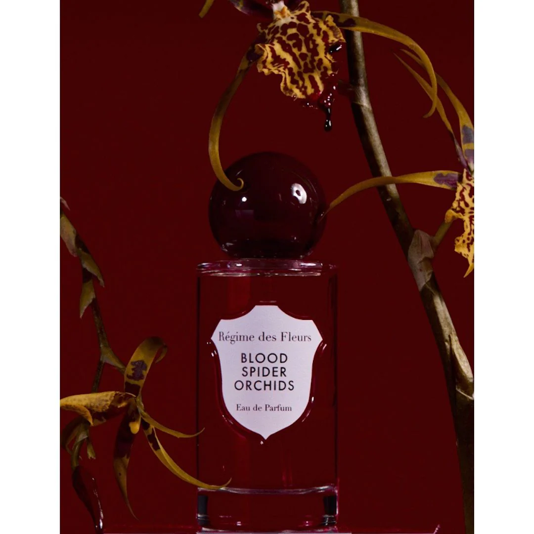Blood Spider Orchids - Image 2