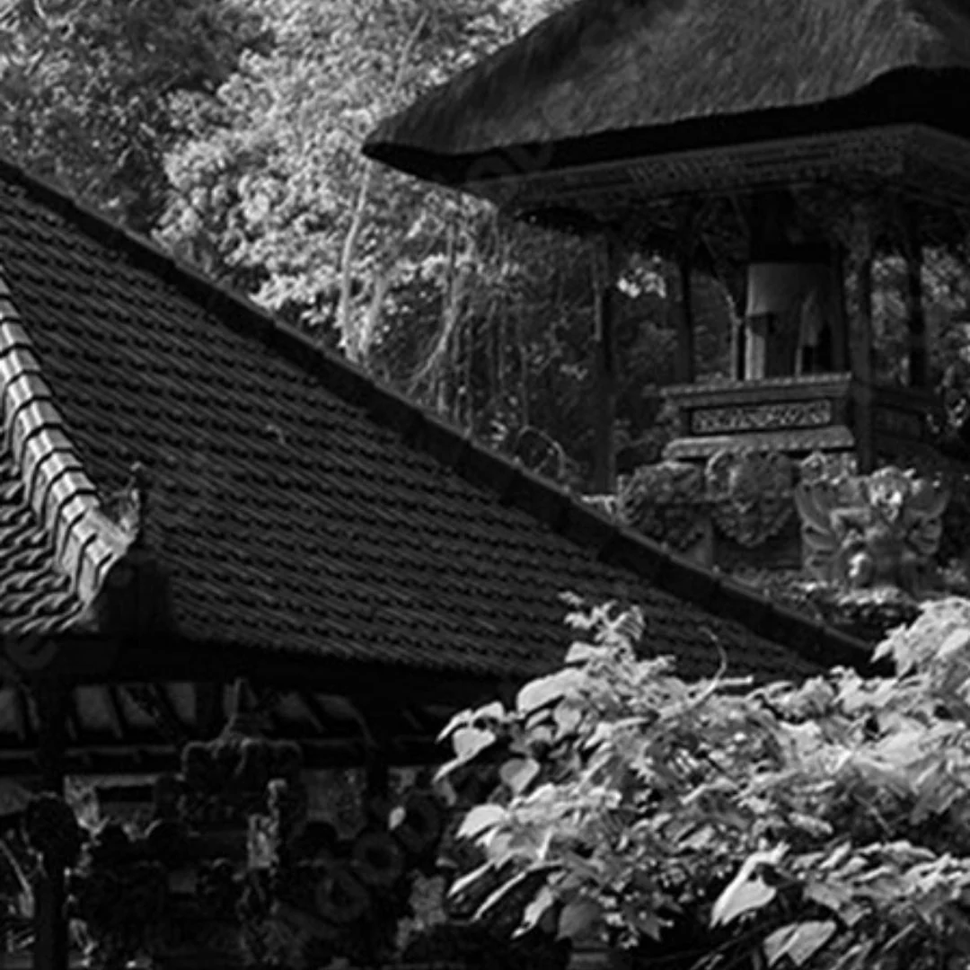 Bois d'Indonésie - Image 4