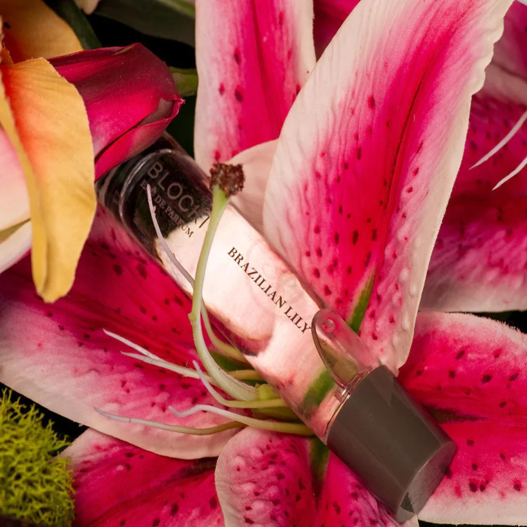Brazilian Lily - Image 3
