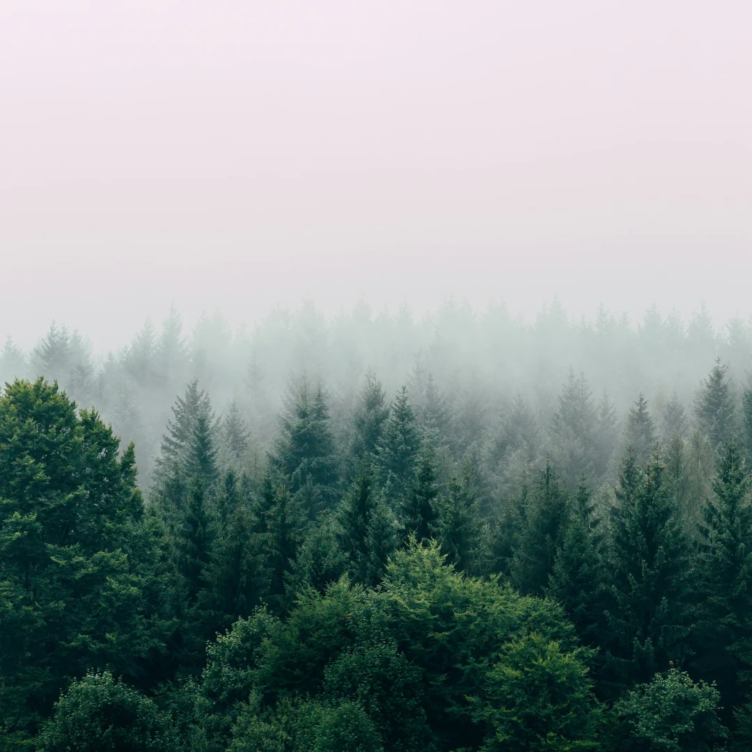 Breathe - Image 3