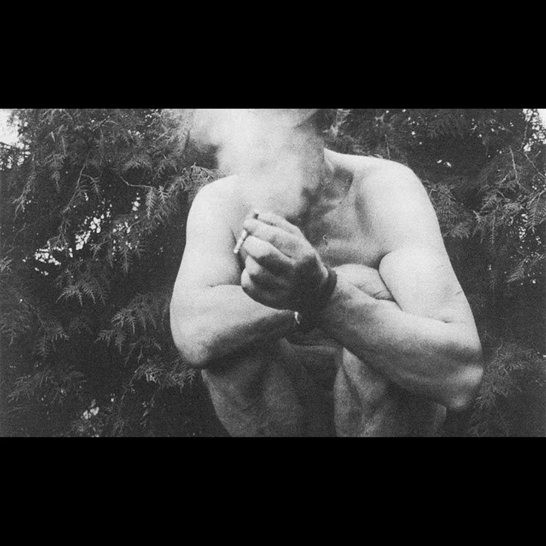 Brutus - Image 2