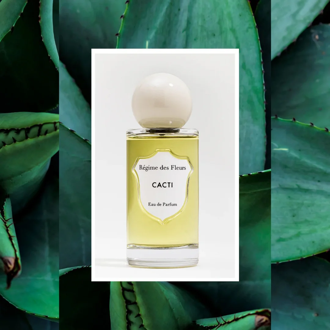 Cacti - Image 2
