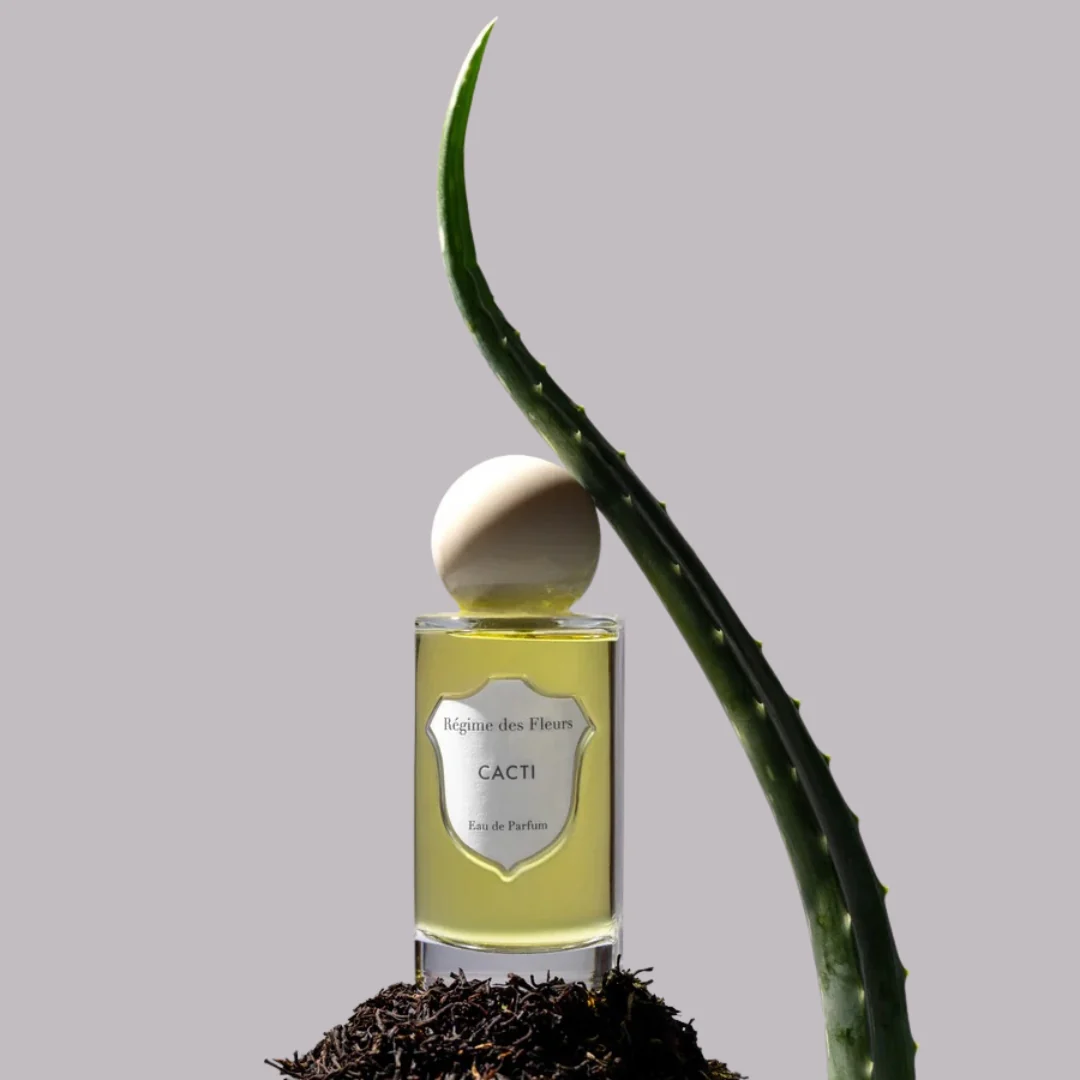 Cacti - Image 3