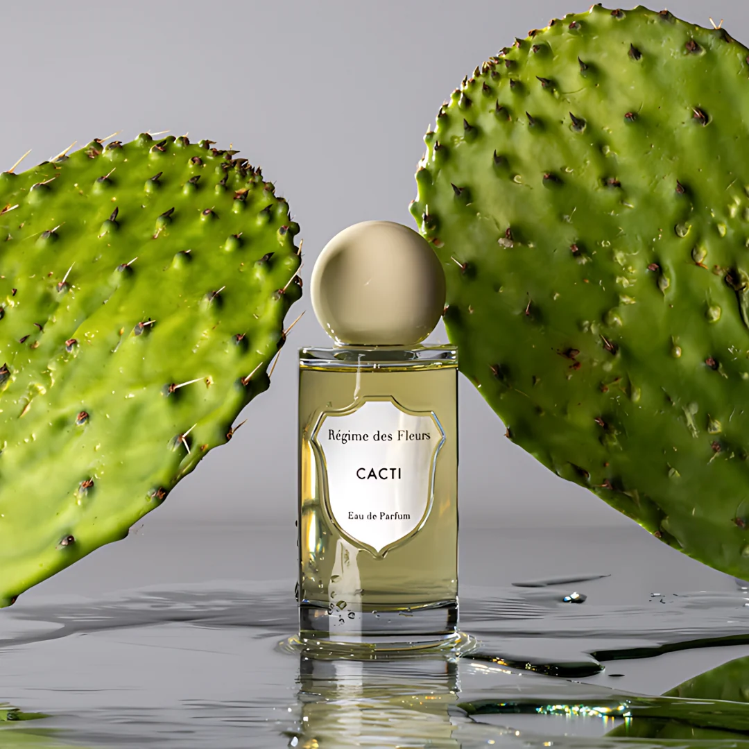 Cacti - Image 4