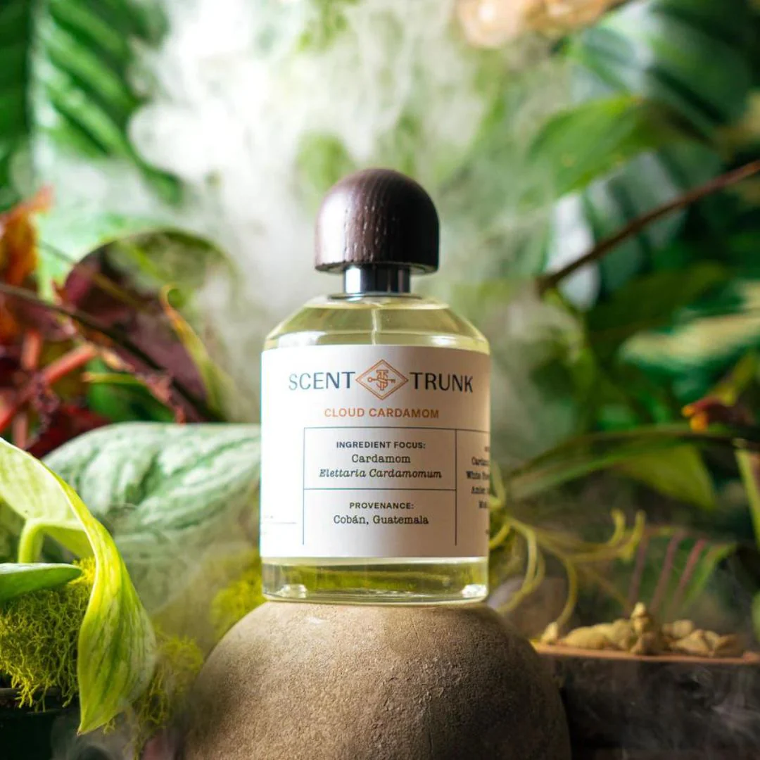 Cloud Cardamom - Image 3