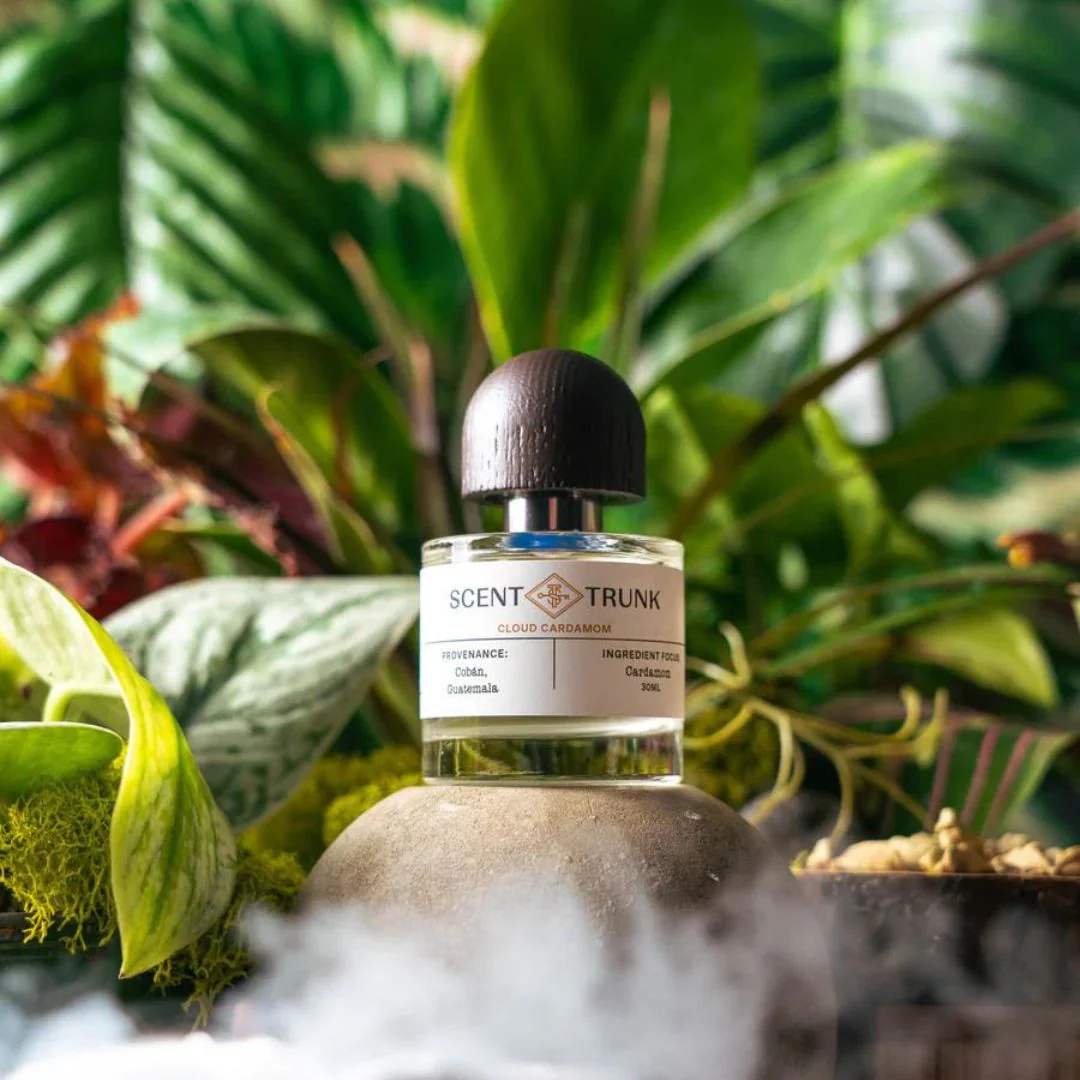 Cloud Cardamom - Image 5