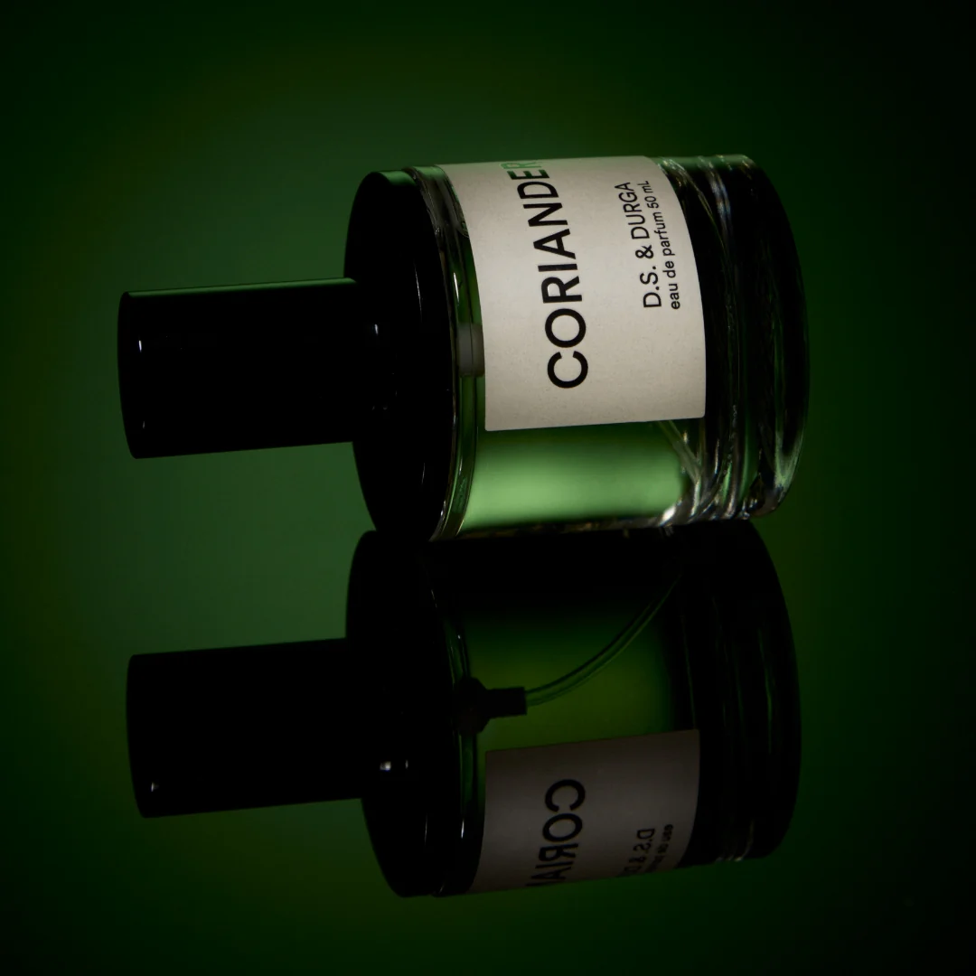 Coriander - Image 2