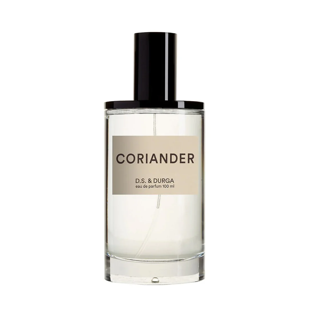 Coriander - Image 3