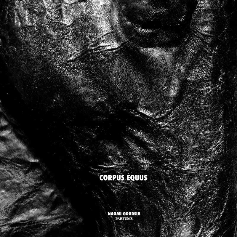 Corpus Equus - Image 3