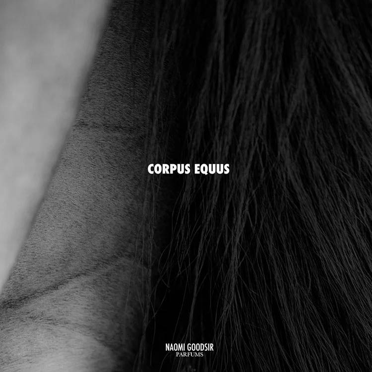 Corpus Equus - Image 7
