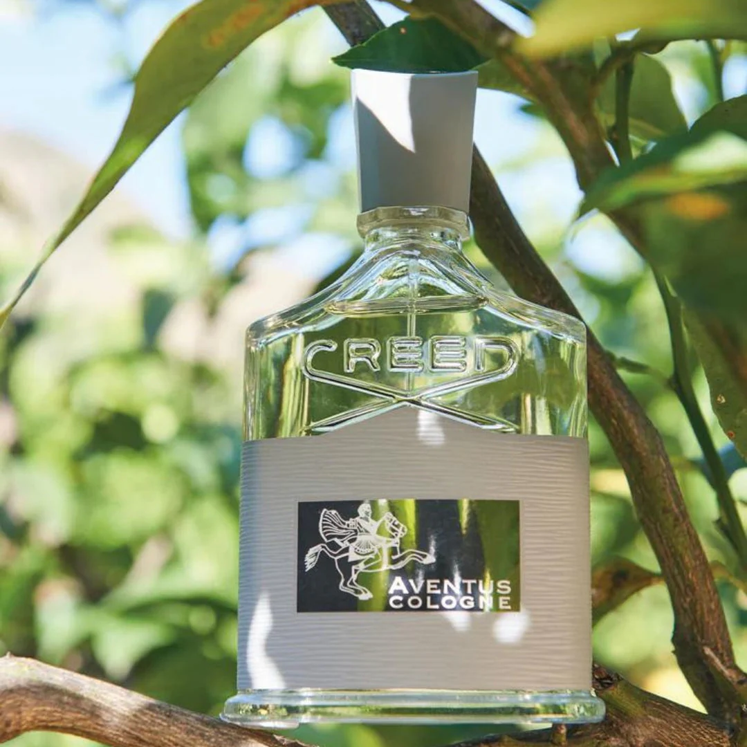 Aventus Cologne - Image 3