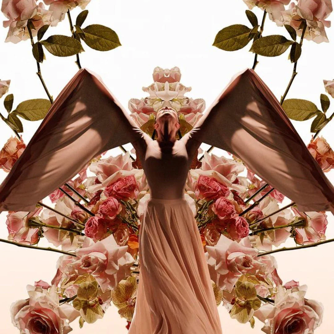 Wind Flowers - Image 4