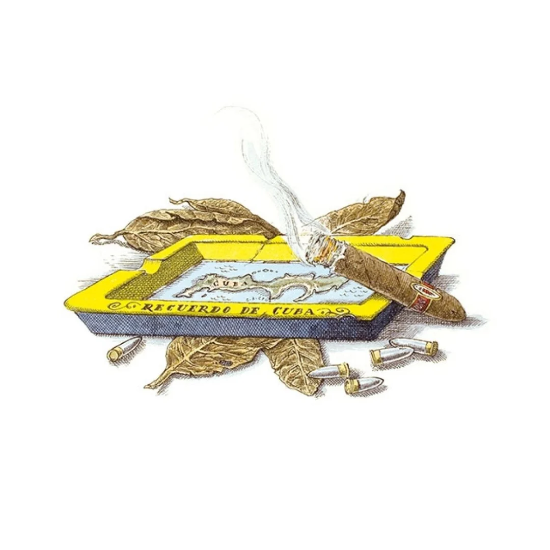 Ernesto - Image 3