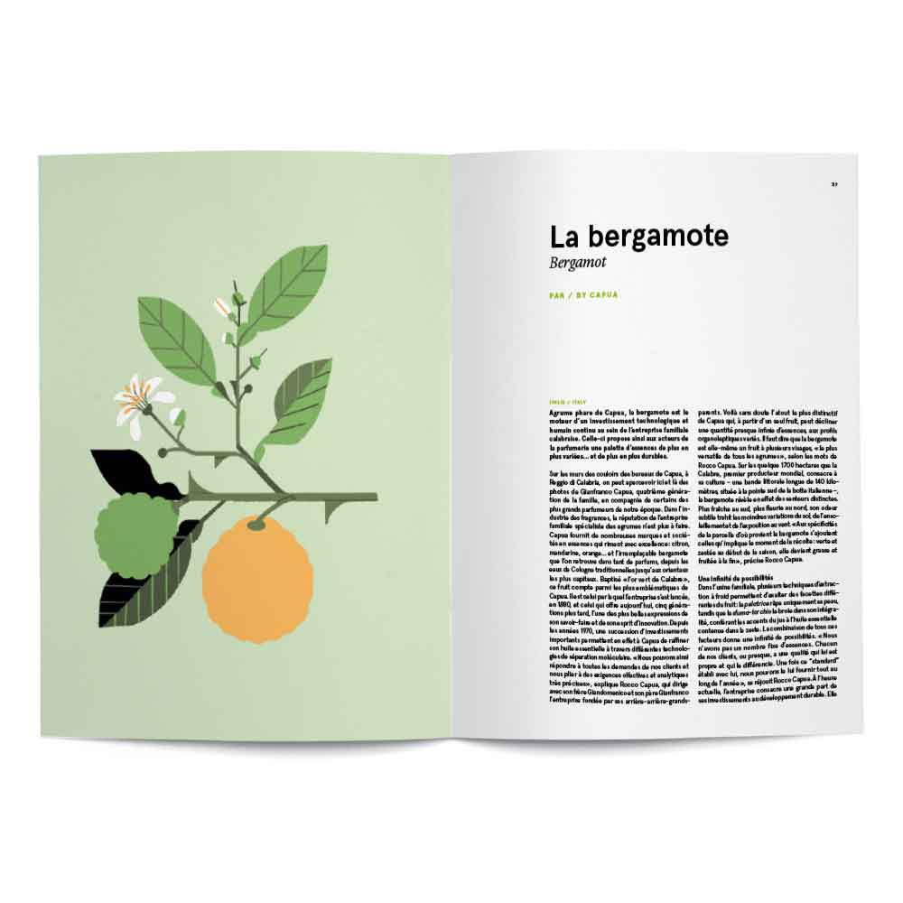From Plant to Essence (Hardcover) - Image 2