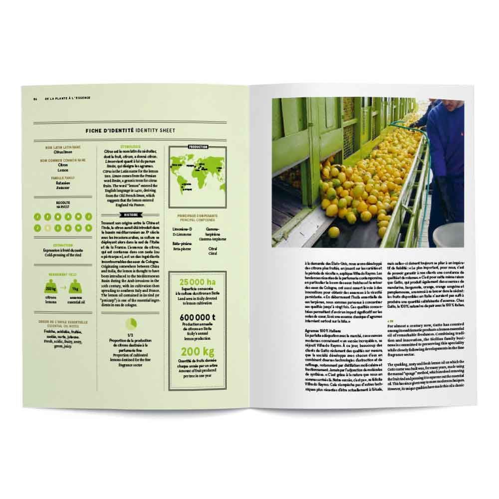 From Plant to Essence (Hardcover) - Image 3