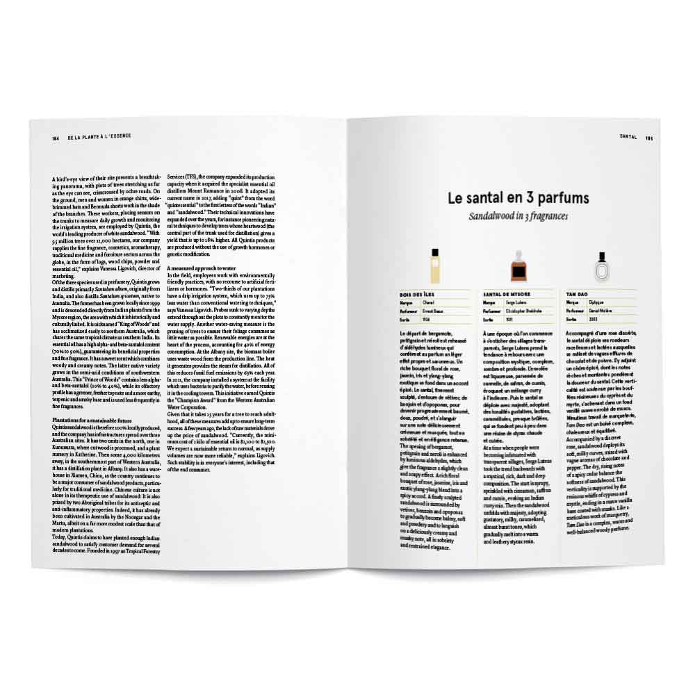 From Plant to Essence (Hardcover) - Image 4