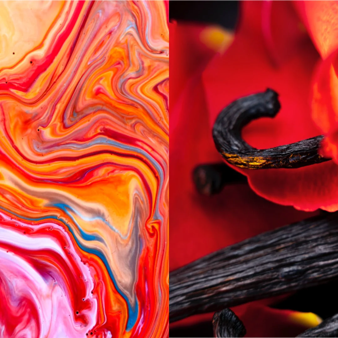 Hibiscus Mahajad Extrait - Image 3