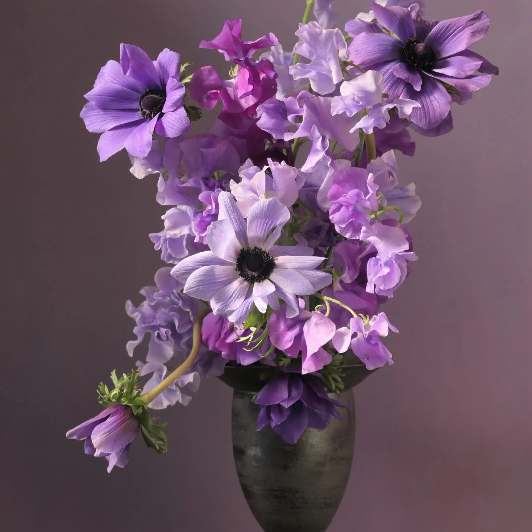 Himitsu Violets - Image 5