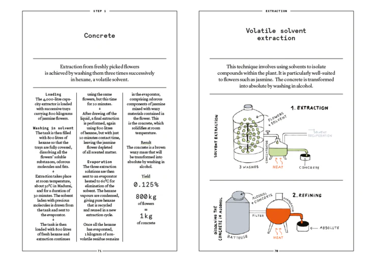 JASMINE SAMBAC: Jasmine sambac in perfumery by Nez + LMR The Naturals Notebook - Image 2