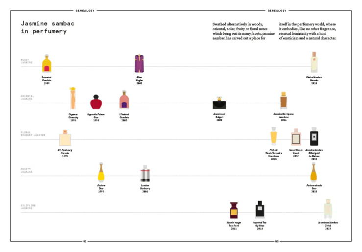 JASMINE SAMBAC: Jasmine sambac in perfumery by Nez + LMR The Naturals Notebook - Image 7