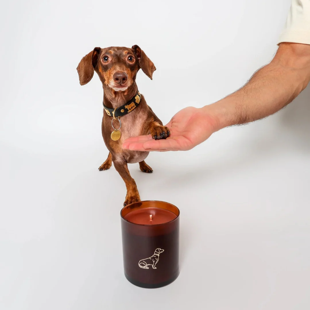 Little Paws Candle - Image 5