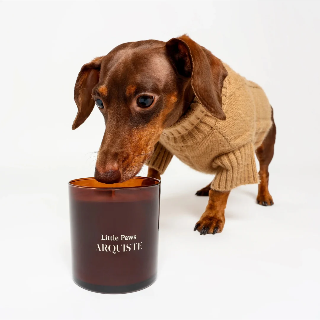 Little Paws Candle - Image 6
