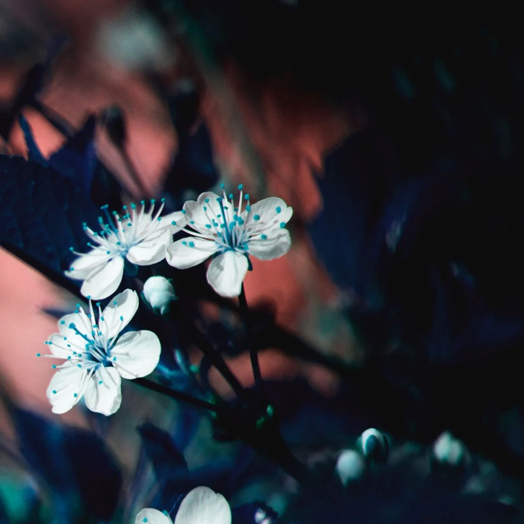 Lost Lovers - Image 5