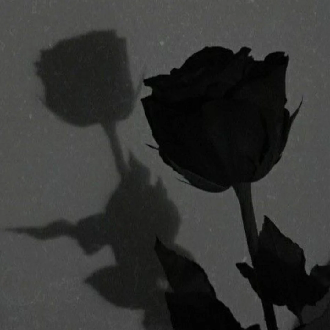 Lost Lovers - Image 6
