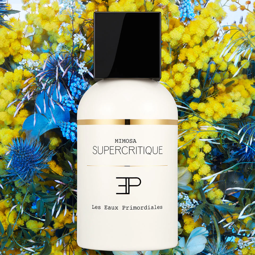 Mimosa Supercritique - Image 6