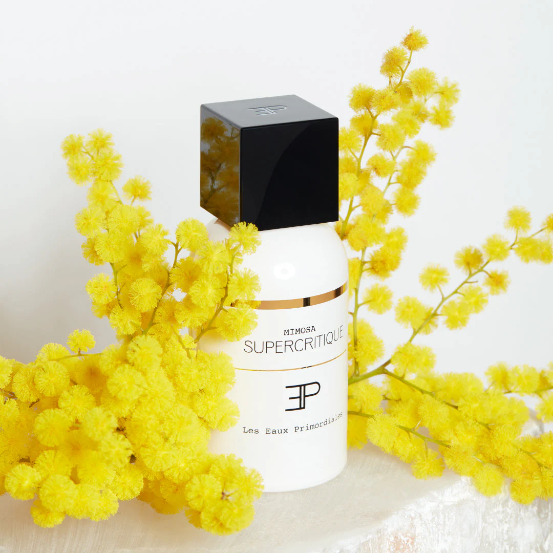 Mimosa Supercritique - Image 7