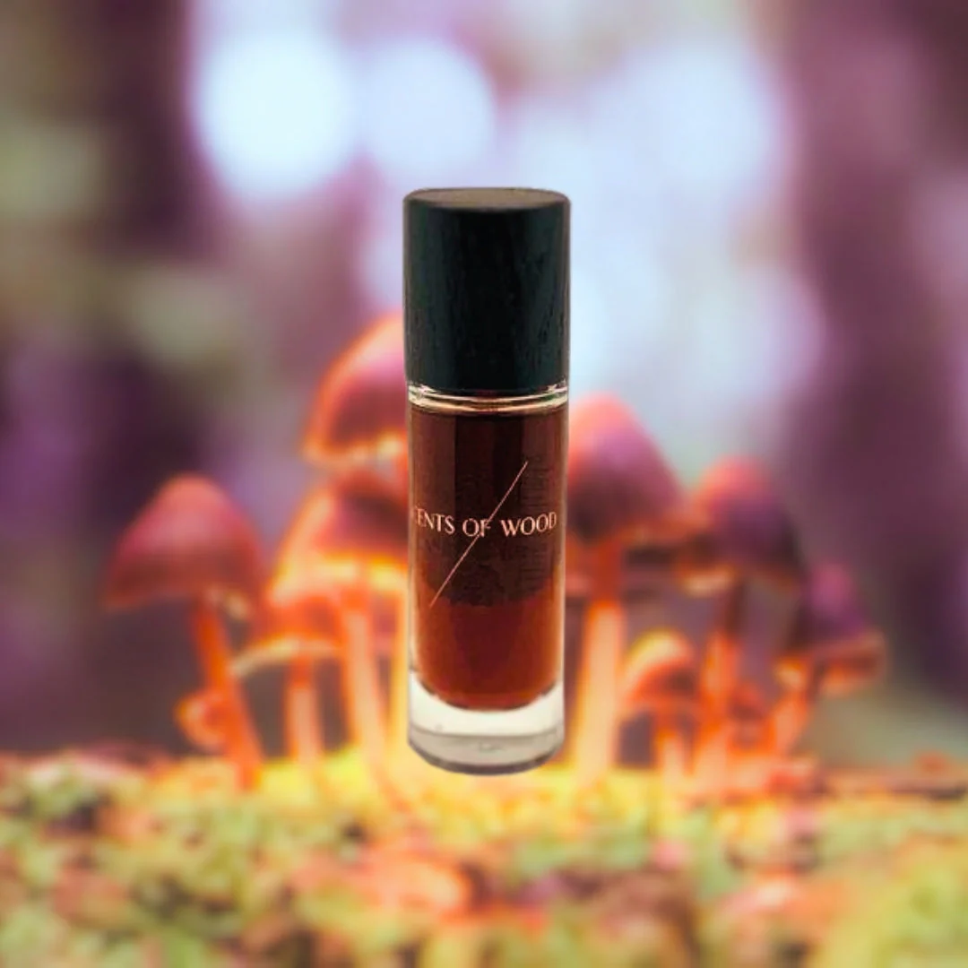Mycelium in Chestnut - Image 4