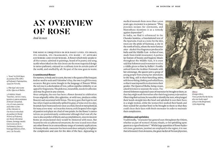 ROSE: Damask rose in perfumery by Nez + LMR The Naturals Notebook - Image 3