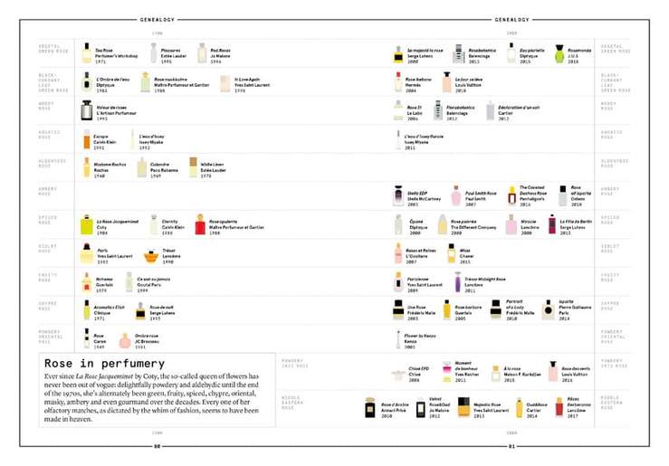 ROSE: Damask rose in perfumery by Nez + LMR The Naturals Notebook - Image 6