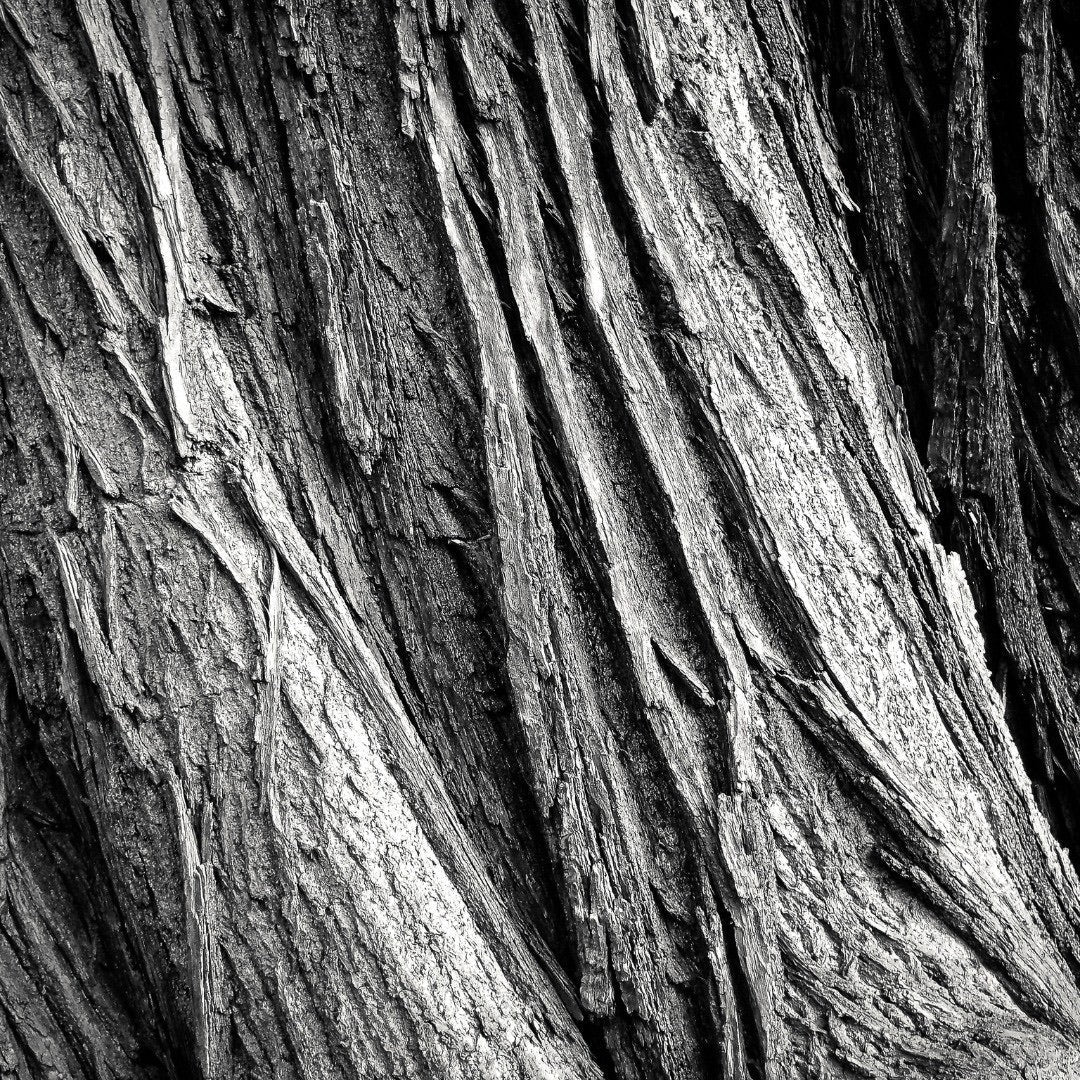 Oud Assam - Image 3