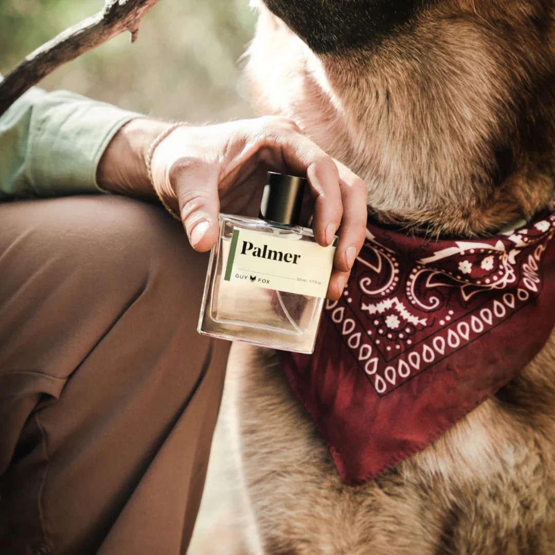 Palmer - Image 3