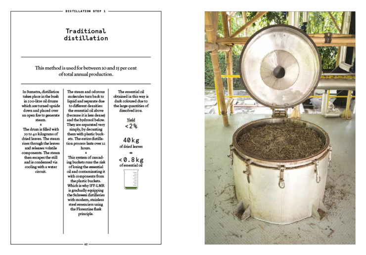 PATCHOULI: The patchouli in perfumery by Nez + LMR The Naturals Notebook - Image 4