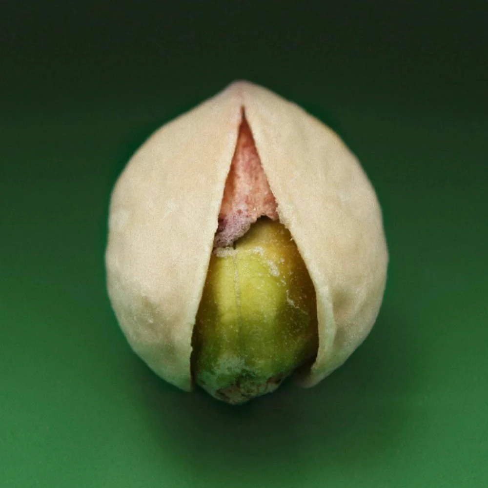 Pistachio - Image 3
