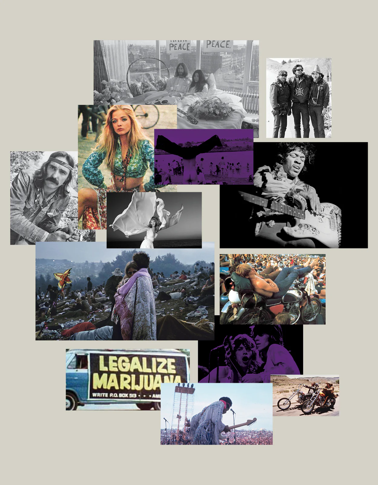 Purple Haze - Image 5