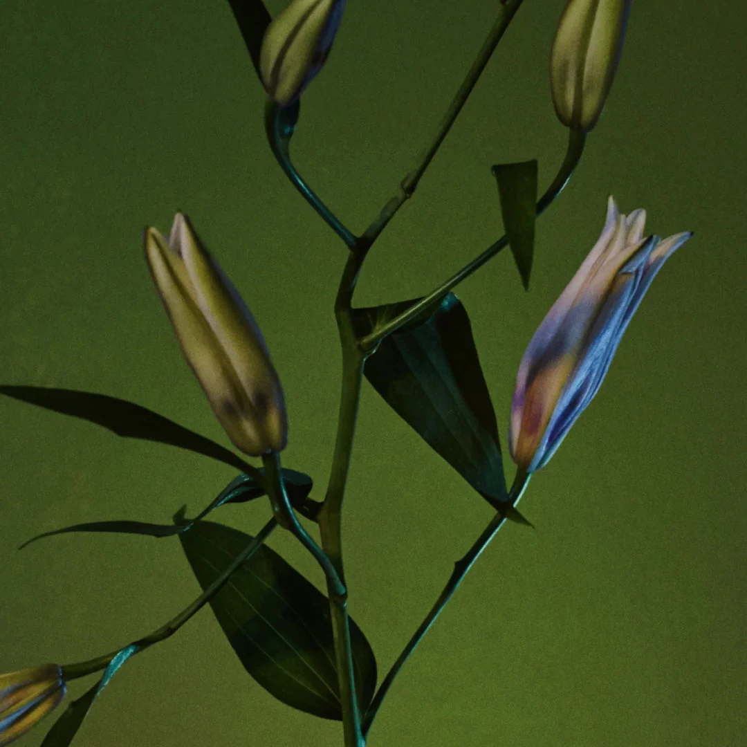 Rock River Melody - Image 3