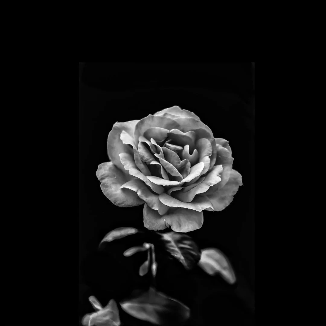Rose Ishtar - Image 3