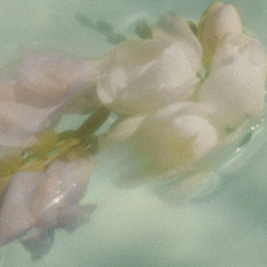 Sex & Jasmine - Image 2