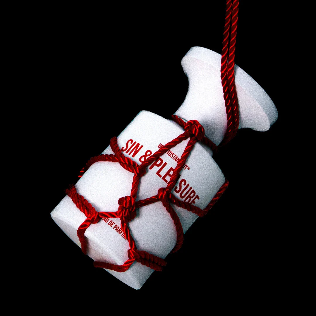 Sin & Pleasure - Image 4
