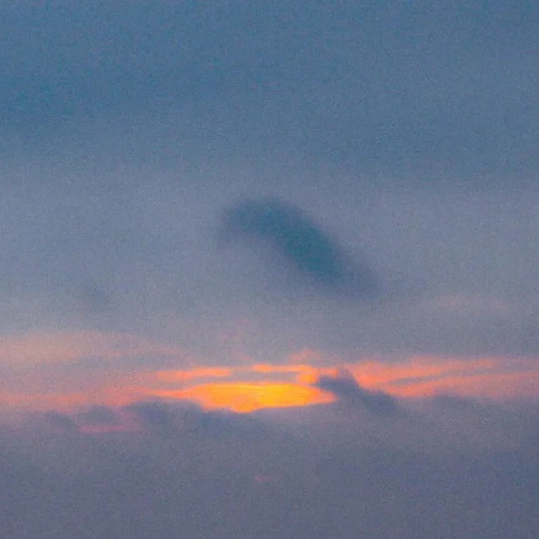Smoked Bloom - Image 2