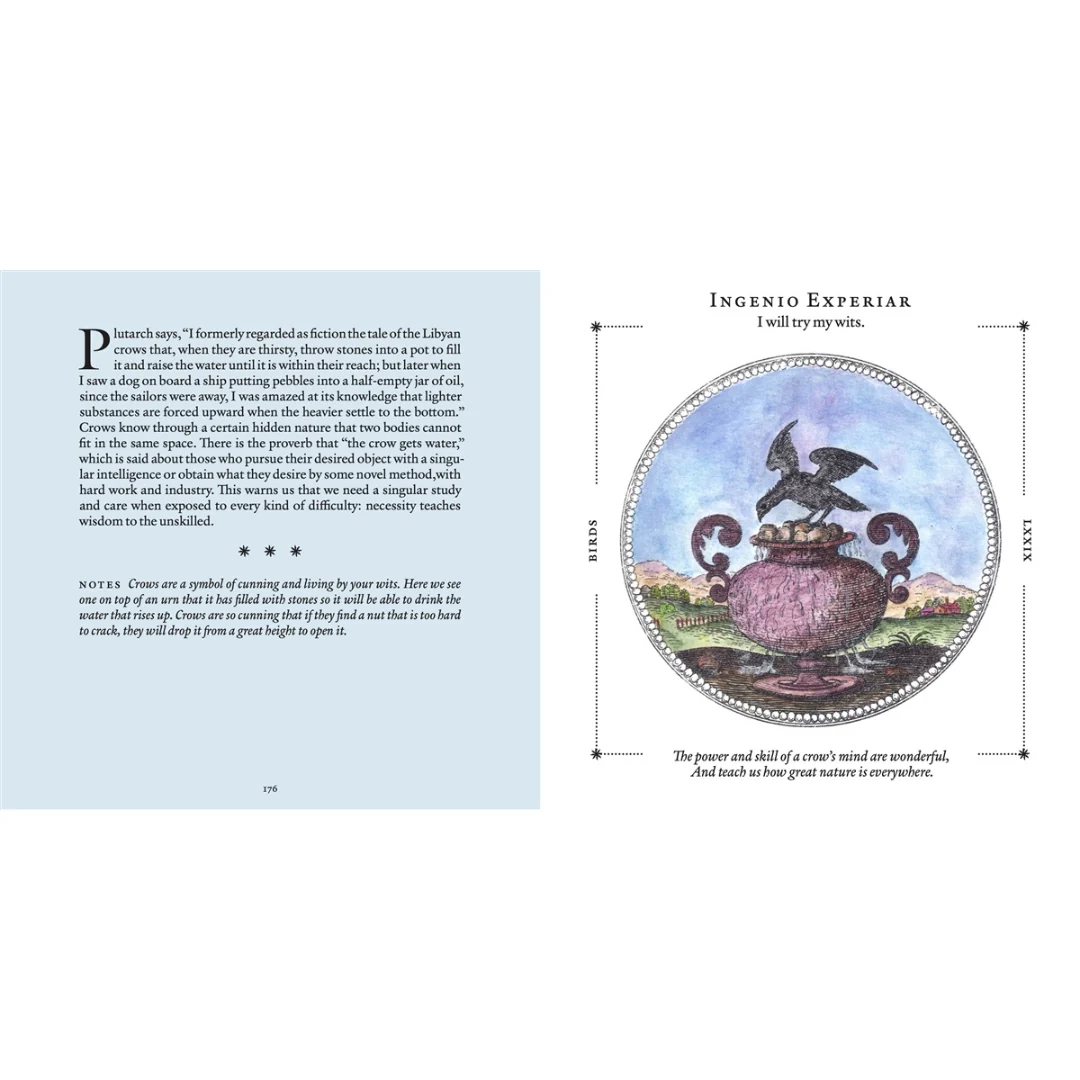 Symbolorum: The Secret Wisdom of Emblems (Hardcover) - Image 3