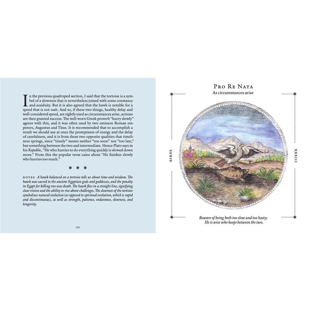 Symbolorum: The Secret Wisdom of Emblems (Hardcover) - Image 4