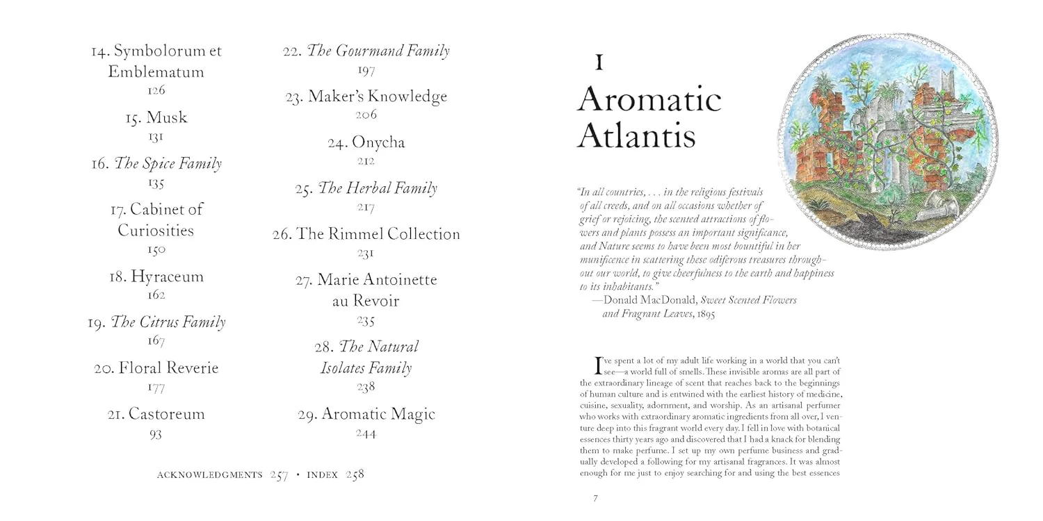 The Museum of Scent (Hardcover) - Image 4